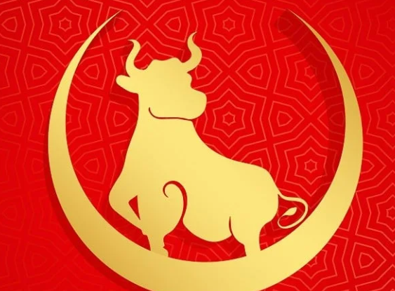 Bagaimana Pemain Togel Membaca Pola Keberuntungan